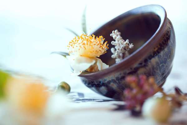 请让婴幼儿远离污染水，只需要一台净水机，没有净水机别说爱孩子