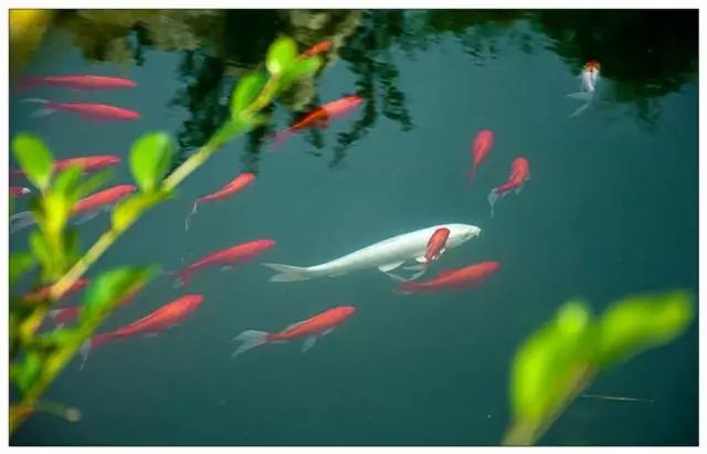 金利源，金利源净水器，净水器品牌，家用净水器品牌，净水器十大品牌，净水器代理，净水器加盟，净水器厂家，净水机，家用净水器