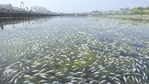 金利源，金利源净水器，净水器品牌，家用净水器品牌，净水器十大品牌，净水器代理，净水器加盟，净水器厂家，净水机，家用净水器