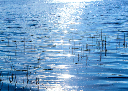 为什么要喝直饮水？我喝自来水、桶装水、瓶装水不行吗？