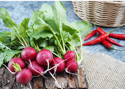 金利源：提升净水器门店客户数量，这几点很关键！