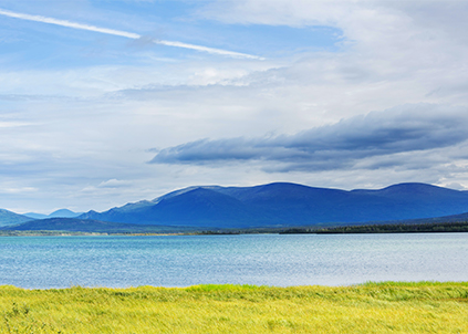 “家里的自来水含有致癌物？净水器厂家金利源：实为净水机厂家为推销产品故意为之