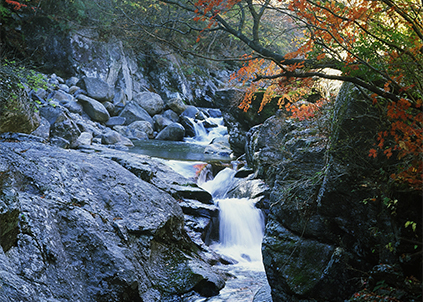想买净水器却嫌安装太复杂？净水器哪个牌子好？