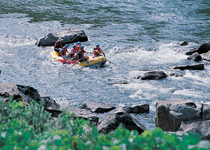 家用净水器销售火爆，高端净水器品牌金利源备受青睐