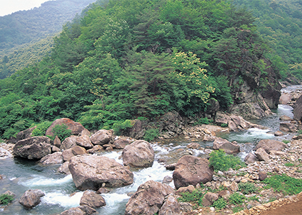 【美国新增4776例确诊病例】YQ当前，您的净水器更换了么