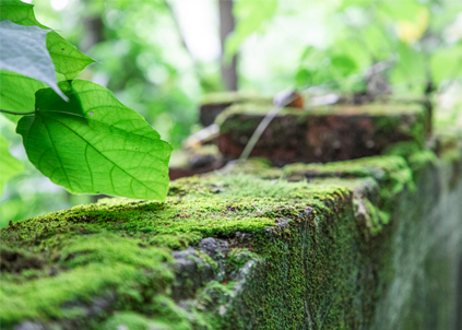 【净水器品牌】净水器品牌哪家好？需要注意的四点误区！